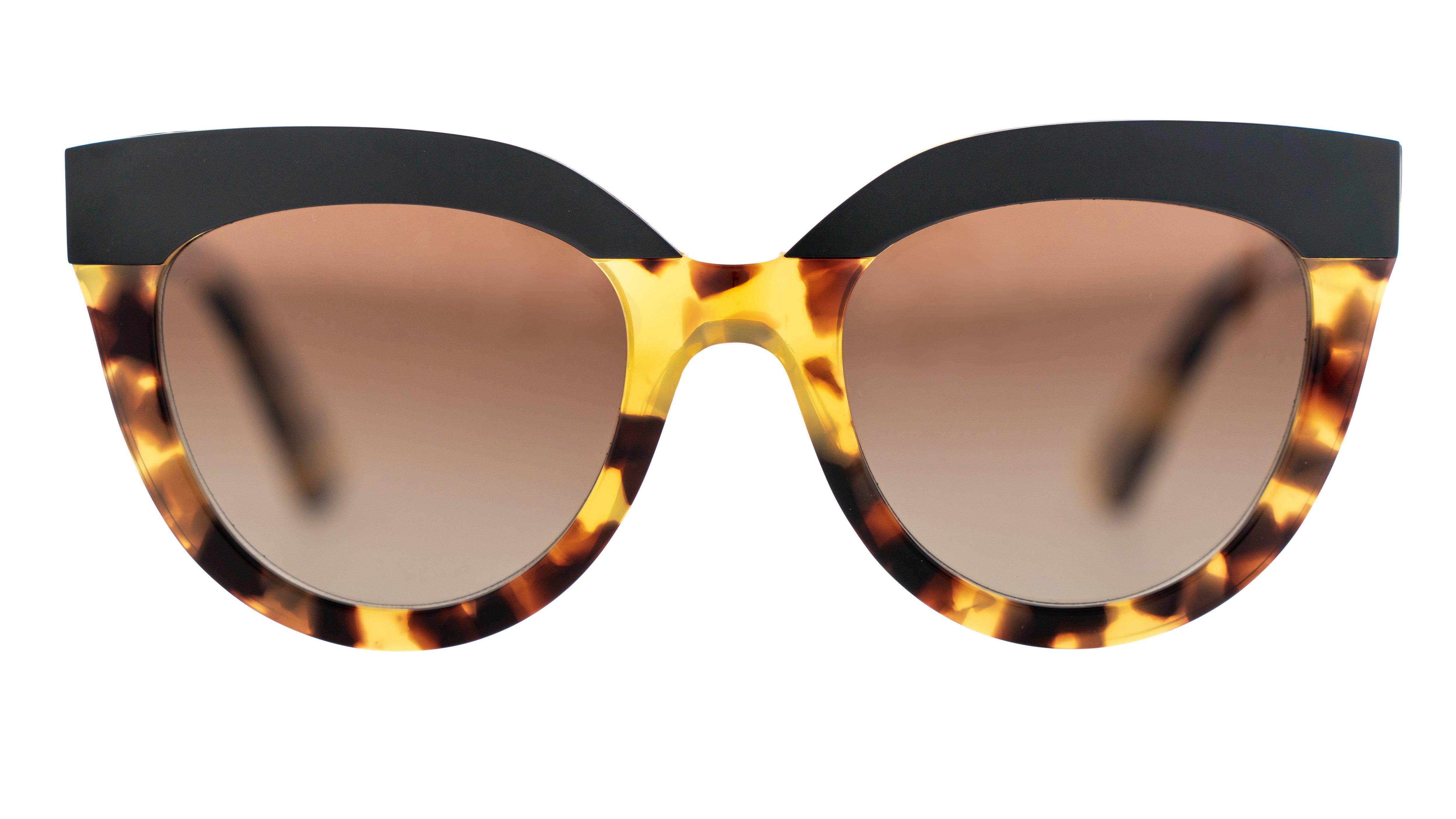 Bask | Echo | Havana Tort