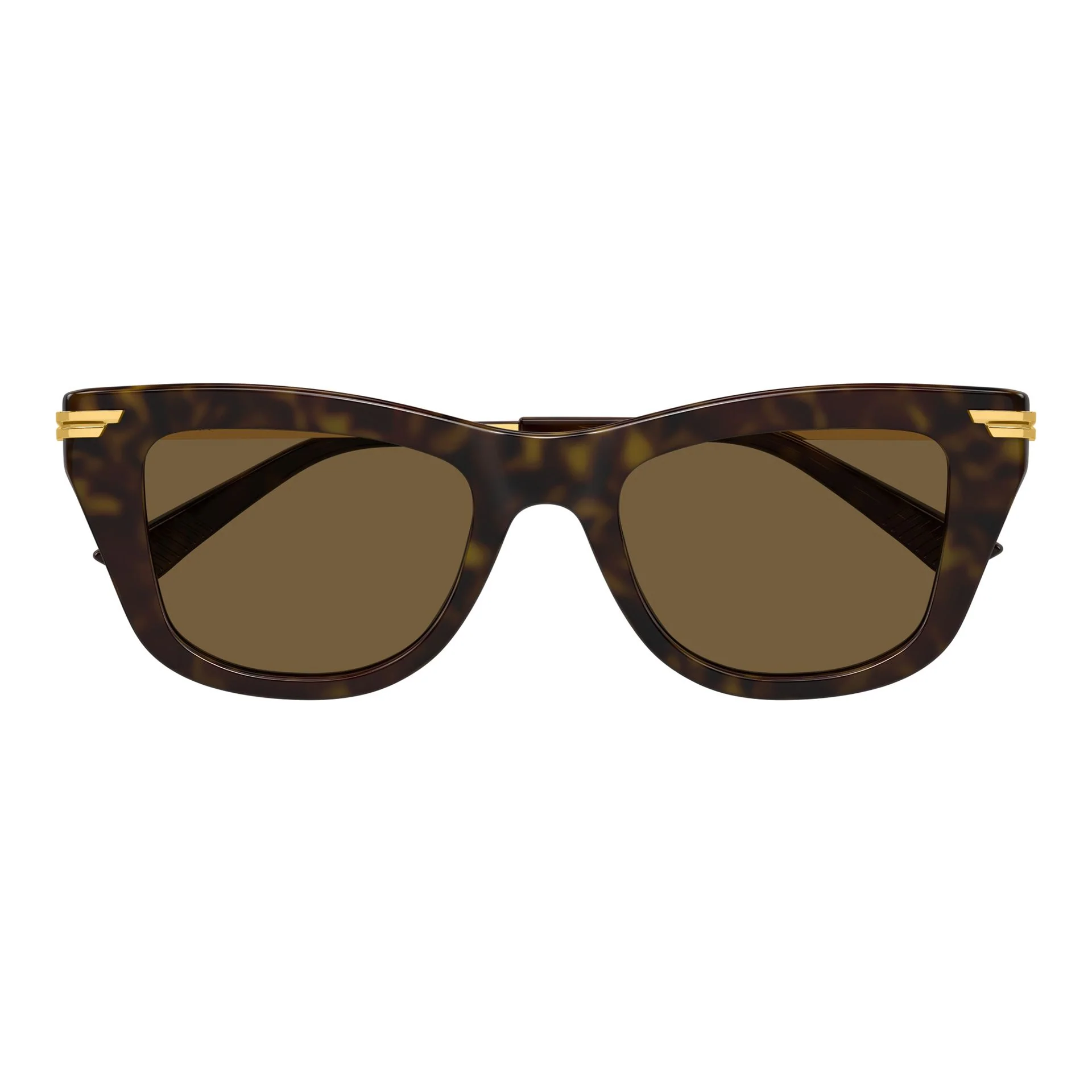 Bottega Veneta | BV1369S | Havana Gold Brown