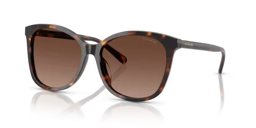 Coach | 8271U | Dark Tortoise Polarised - Image 2