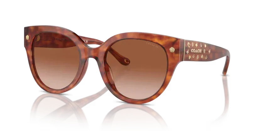 Coach | 8393U | Caramel Tortoise - Image 2