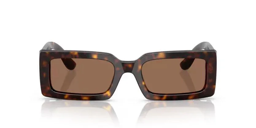 Dolce & Gabbana | 4416 | Havana