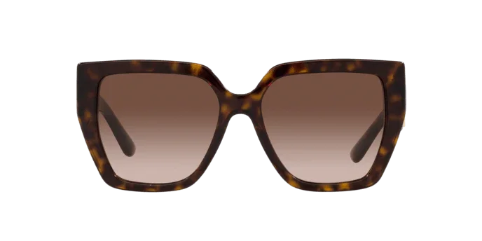 Dolce & Gabbana | 4438 | Havana