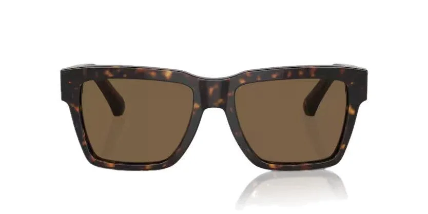 Dolce & Gabbana | 4465F | Havana
