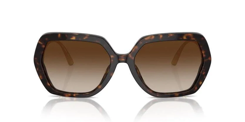 Dolce & Gabbana | 4468BF | Havana