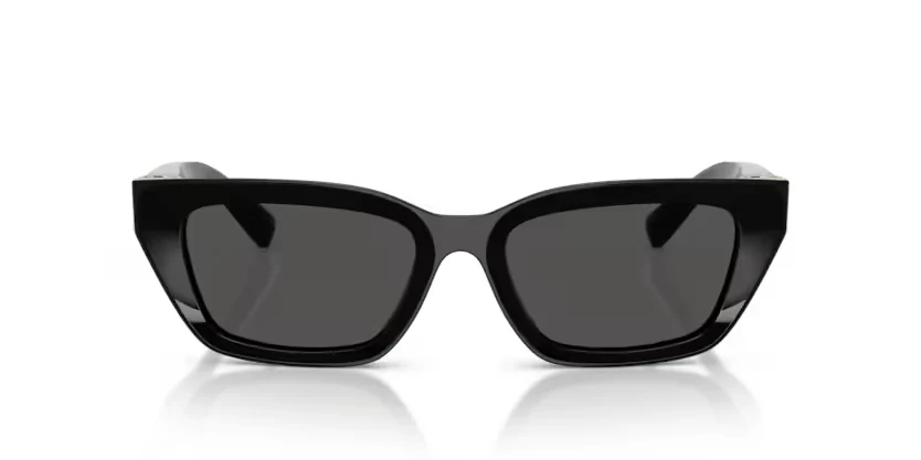 Dolce & Gabbana | 4532 | Black