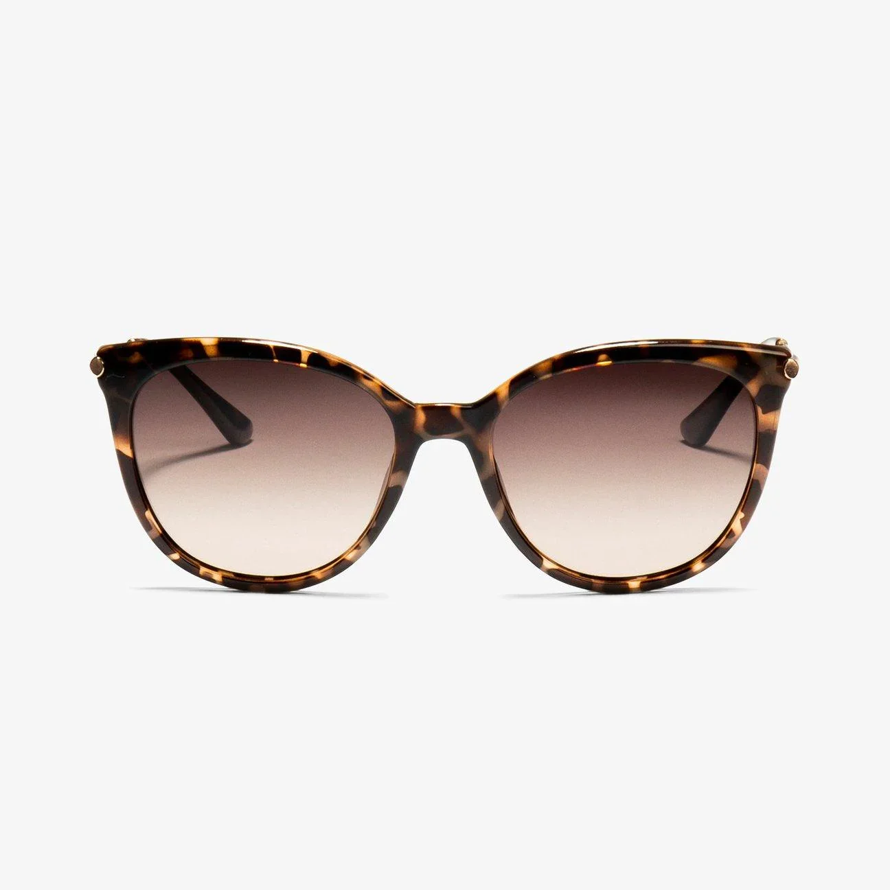 Locello | Ashley | Tortoise