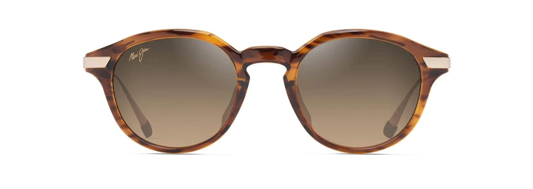 Maui Jim | Momi | Shiny Dark Havana