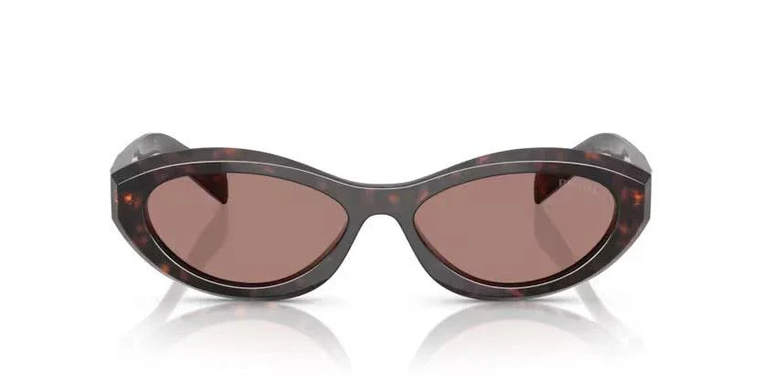 Prada | 26ZS | Root Tortoise