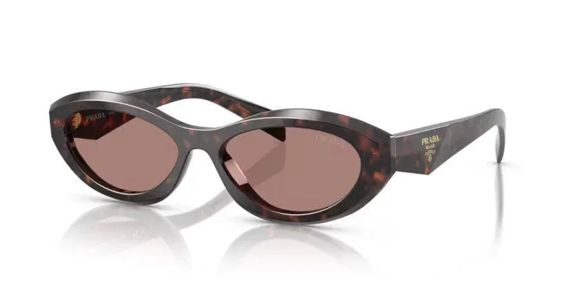 Prada | 26ZS | Root Tortoise - Image 2