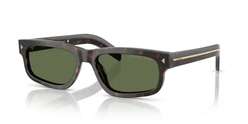 Prada | B11S | Root Tortoise Polarised - Image 2