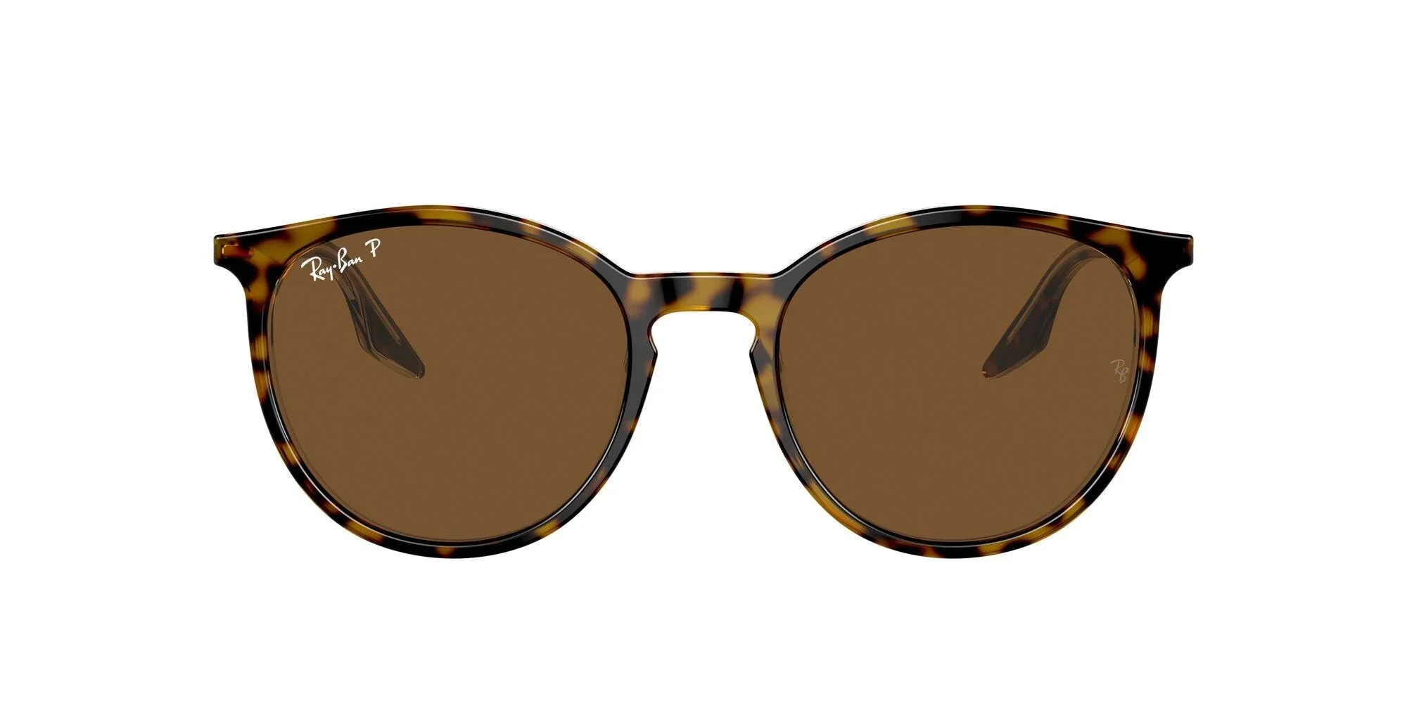 Ray-Ban | 2204 | Havana On Transparent Polarised