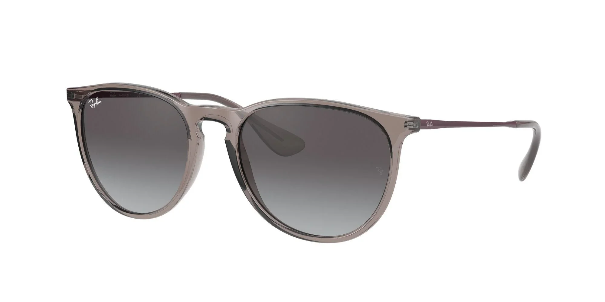 Ray-Ban | 4171 Erika | Transparent Grey - Image 2