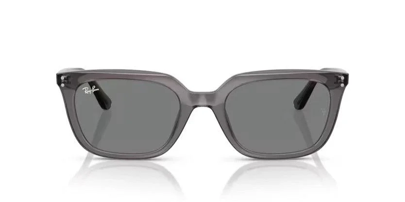 Ray-Ban | 4439D | Transparent Grey