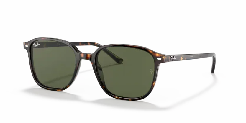 Ray-Ban | 2193 Leonard | Tortoise - Image 2