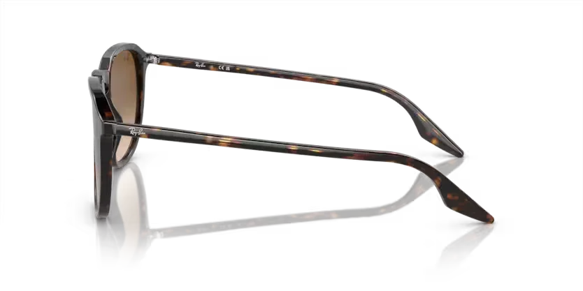 Ray-Ban | 2203 | Havana - Image 3