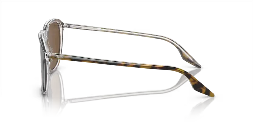 Ray-Ban | 2203 | Havana - Image 3