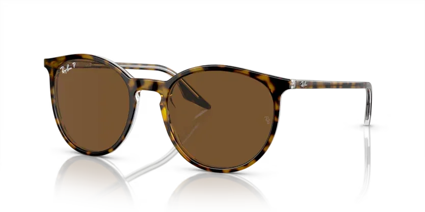 Ray-Ban | 2203 | Havana On Transparent - Image 2