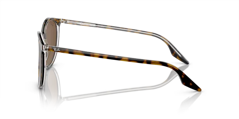 Ray-Ban | 2203 | Havana On Transparent - Image 3
