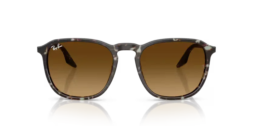 Ray-Ban | 2203 | Havana Yellow Tortoiseshell