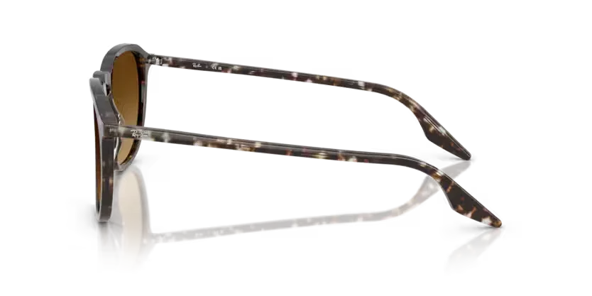 Ray-Ban | 2203 | Havana Yellow Tortoiseshell - Image 3