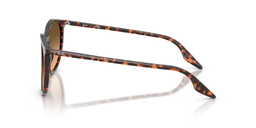 Ray-Ban | 2204 | Havana Red Tortoiseshell - Image 3