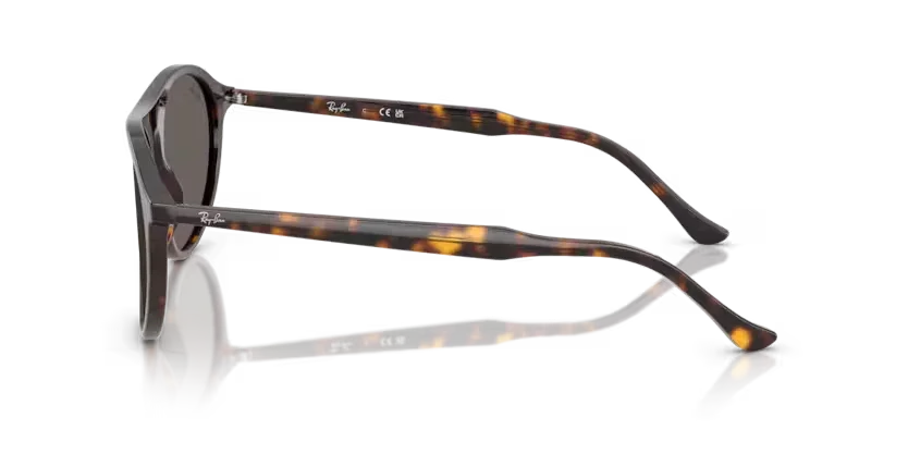 Ray-Ban | 2215 | Havana - Image 3