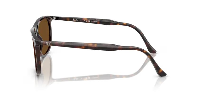 Ray-Ban | 2216F | Havana - Image 3