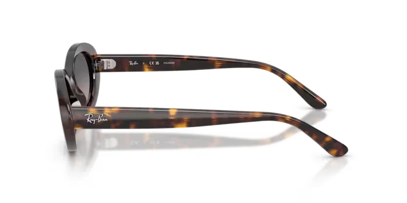 Ray-Ban | RB2223 | Havana Gradient Grey Polarised - Image 3