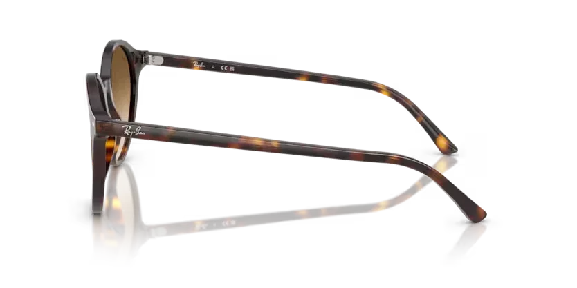 Ray-Ban | 2230 Bernard | Havana - Image 2