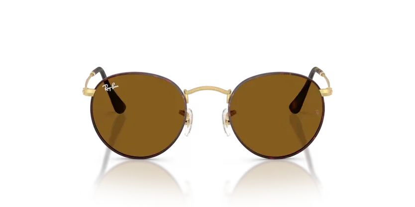 Ray-Ban | RB3447 Round Metal | Matt Havana On Matt Arista Gold