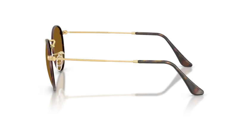 Ray-Ban | RB3447 Round Metal | Matt Havana On Matt Arista Gold - Image 3