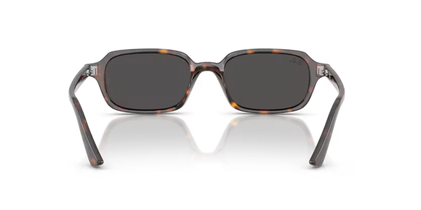 Ray-Ban | RB4455 Zuri | Havana Dark Grey Lens - Image 4