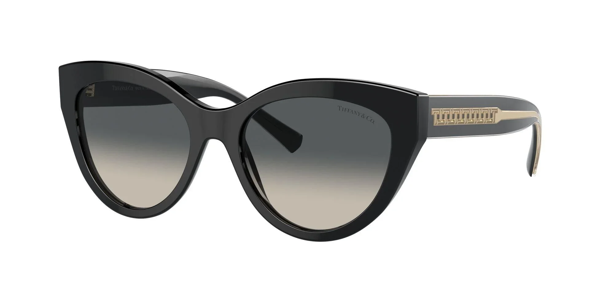 Tiffany & Co. | 4220F | Black - Image 2