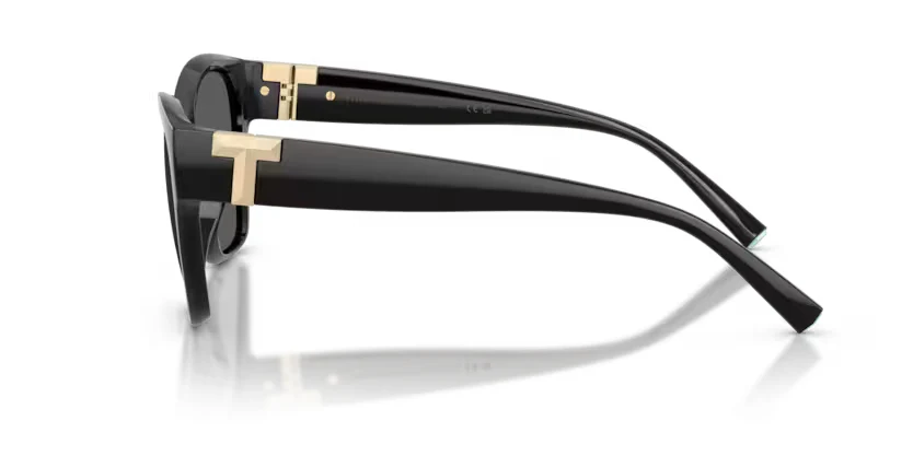 Tiffany & Co. | 4254U | Black - Image 3