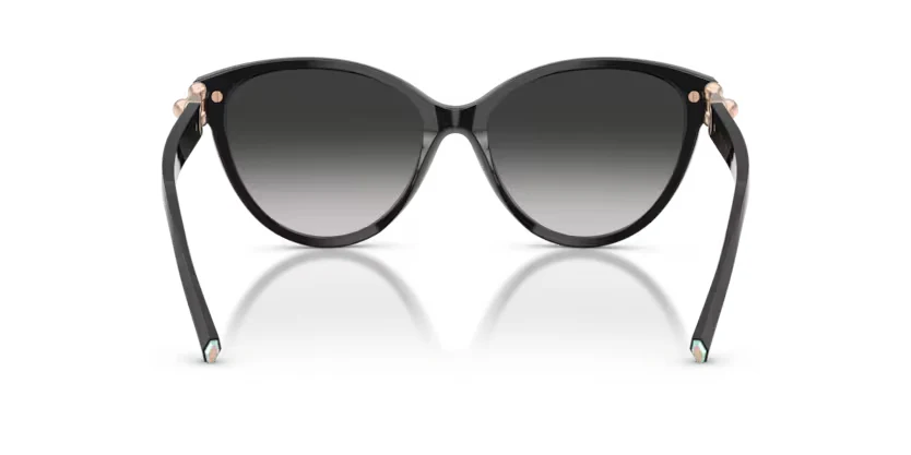 Tiffany & Co. | 4261 | Black Grey - Image 4