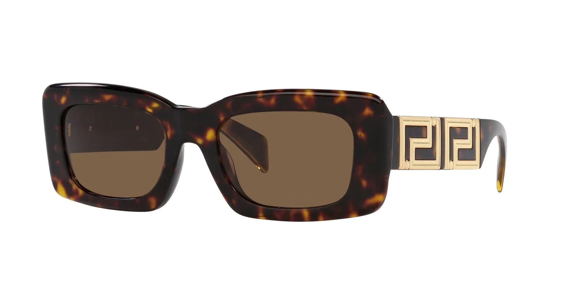 Versace | 4444U | Havana - Image 2