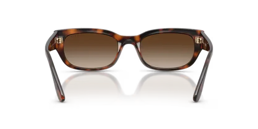 Vogue Eyewear VO5669S Total Dark Havana - Image 3